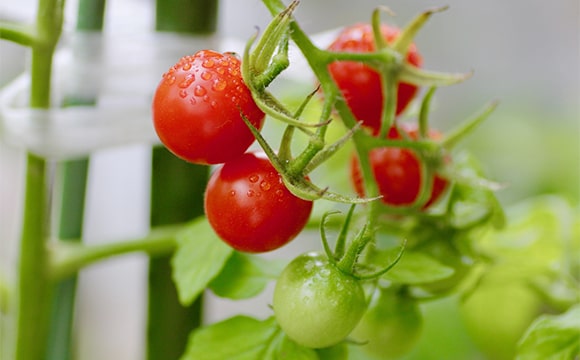 メインビジュアル